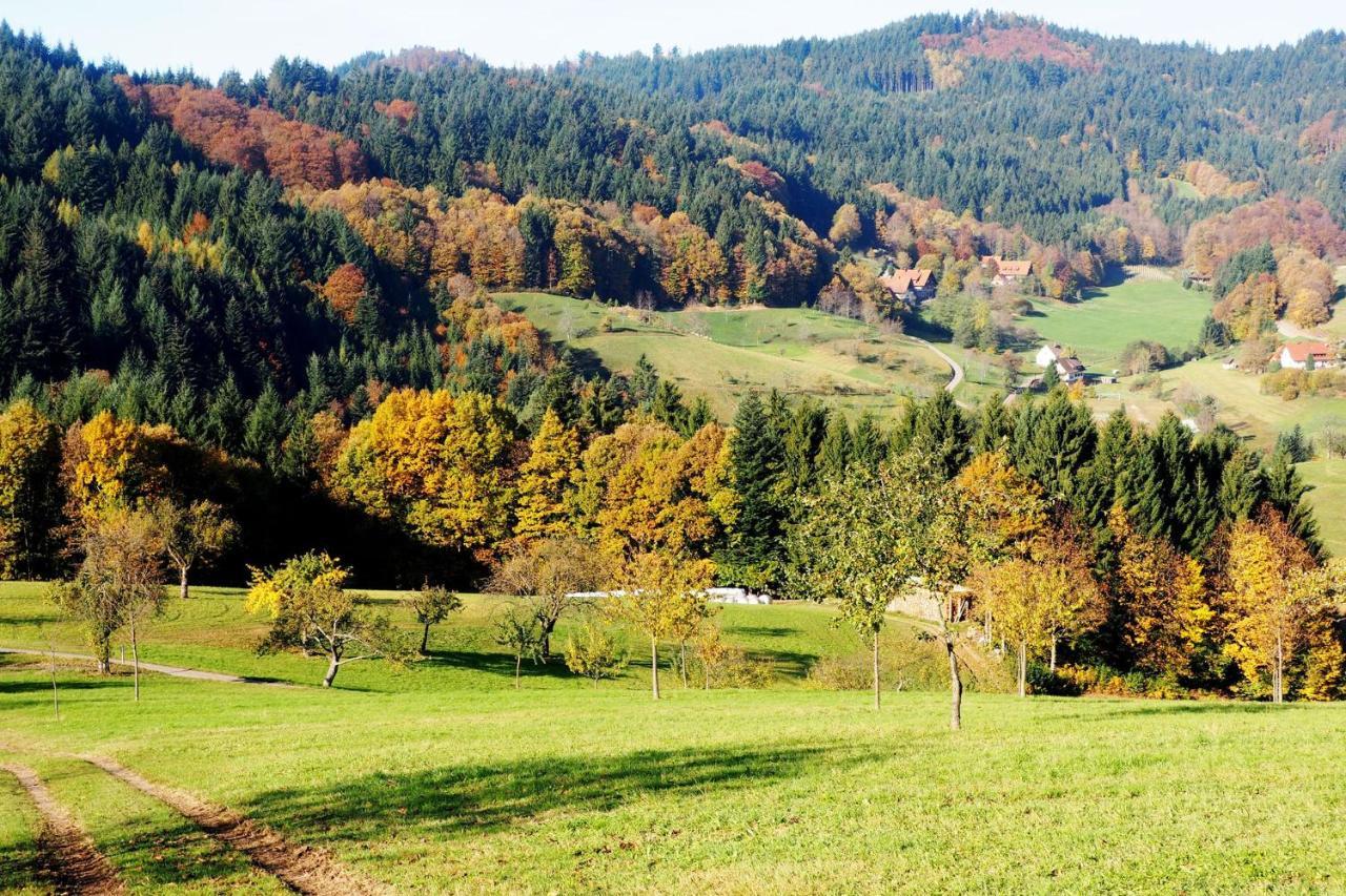 Schnurrenhof * Seebach