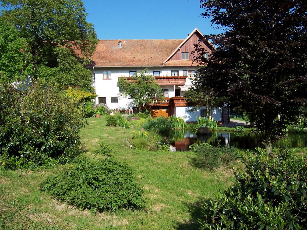 Schnurrenhof * Seebach