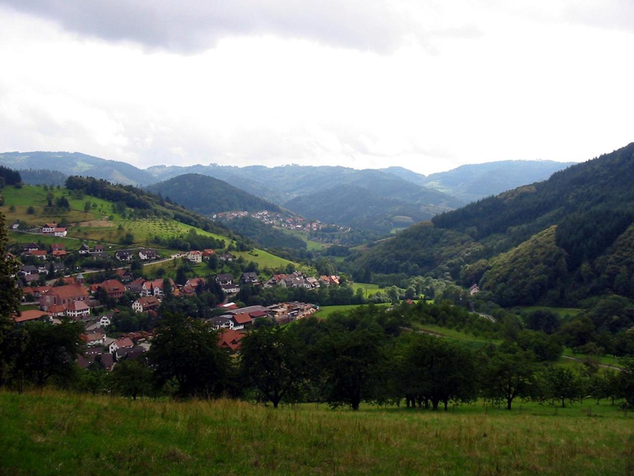 Schnurrenhof * Seebach