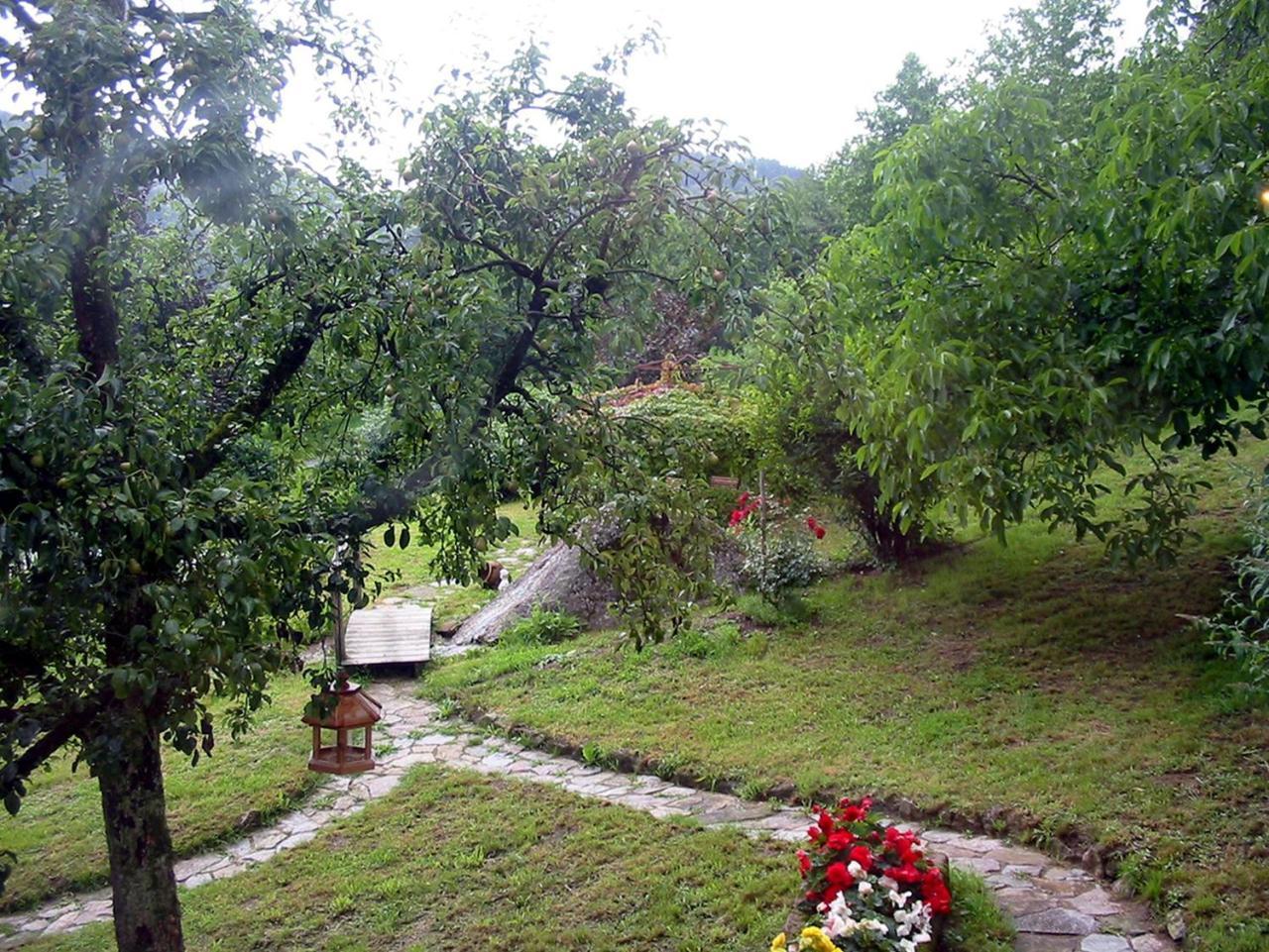 Schnurrenhof Seebach