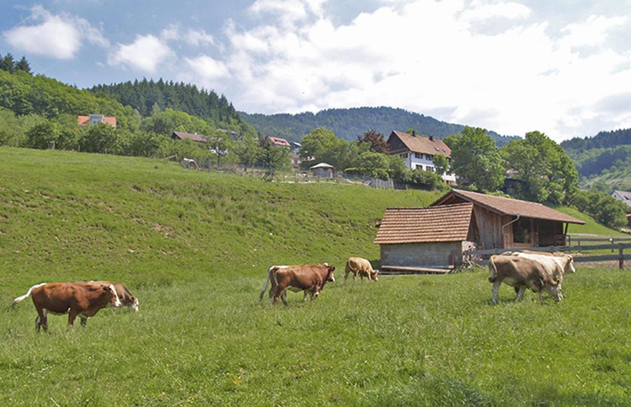 Schnurrenhof *
