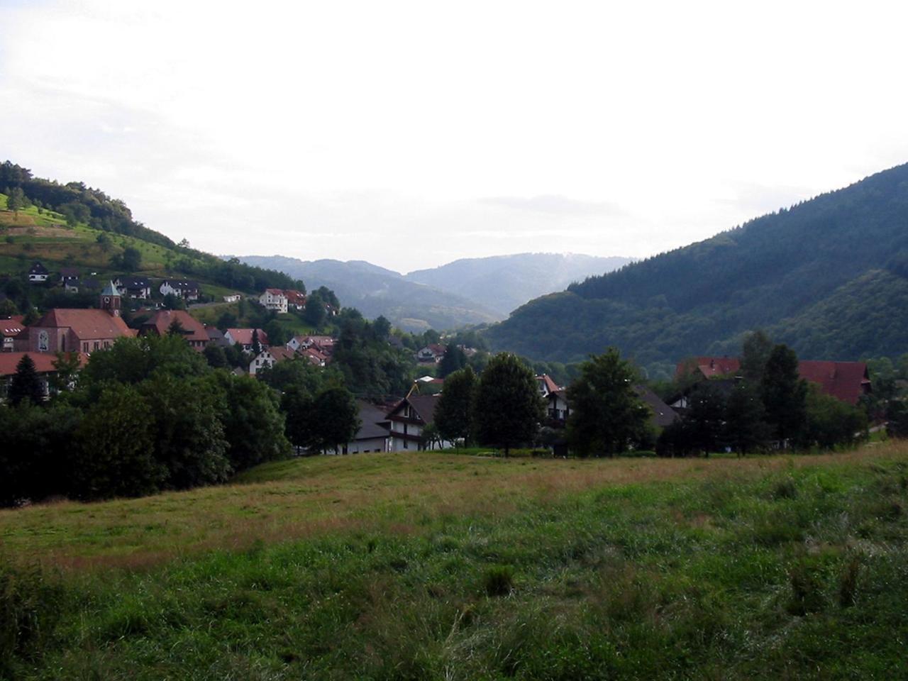 Schnurrenhof Apartment Seebach
